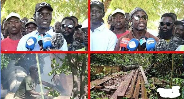 Interdiction coupe du bois, Les Jeunes ebénistes du Sud en ont ras le bol (Par Moussa NDAW)