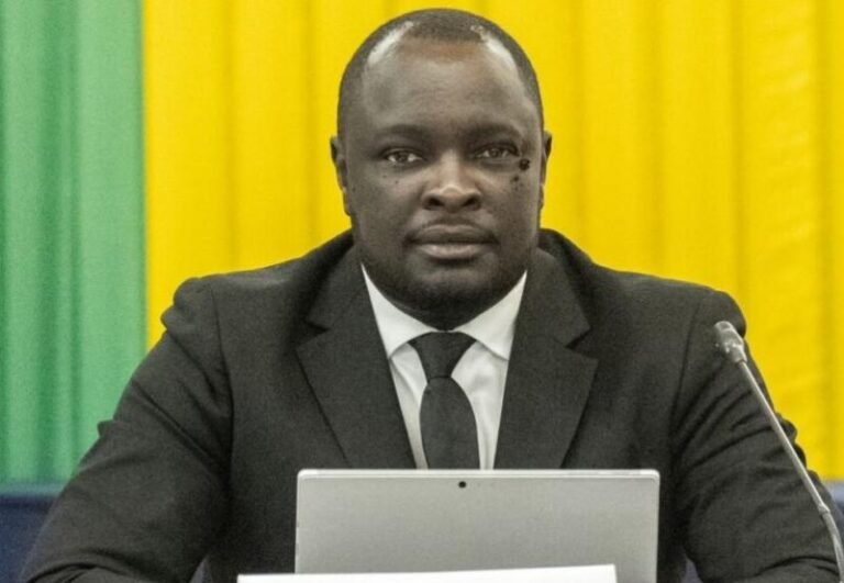 LES NOUVELLES INITIATIVES POUR SE RAPPROCHER DE LA DIASPORA