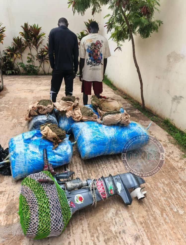 243 KG DE CHANVRE INDIEN SAISIS THIAROYE SUR MER