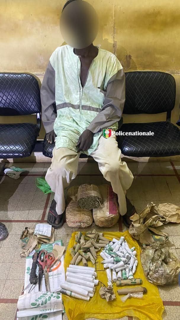 Arrestation et saisie de drogue à Kaolack avant le Gamou