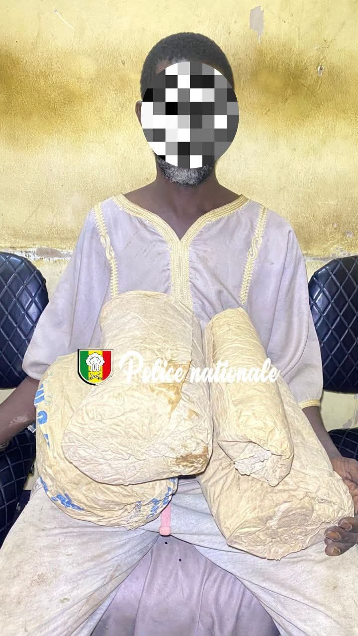 3,600 kg de chanvre indien saisis