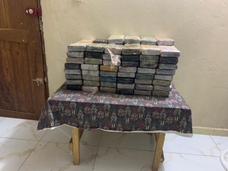 KOLDA : 115 KG DE COCAÏNE SAISIS À KALIFOUROU
