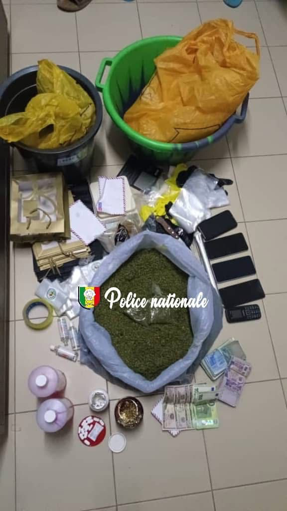 TRAFIC DE DROGUE : 19,5 KG DE KUSH SAISIS À GRAND MBAO