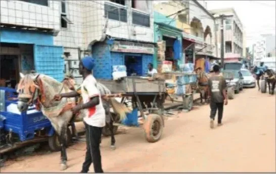 Dakar : les pousse-pousse et charettes interdits dans la zone du BRT dès le 8 janvier 2026