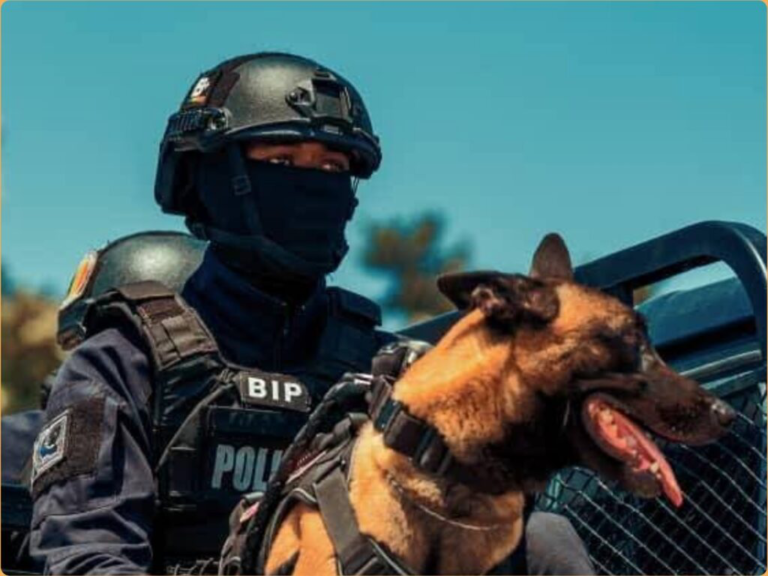 UCAD : la police aux trousses des présidents d’amicales